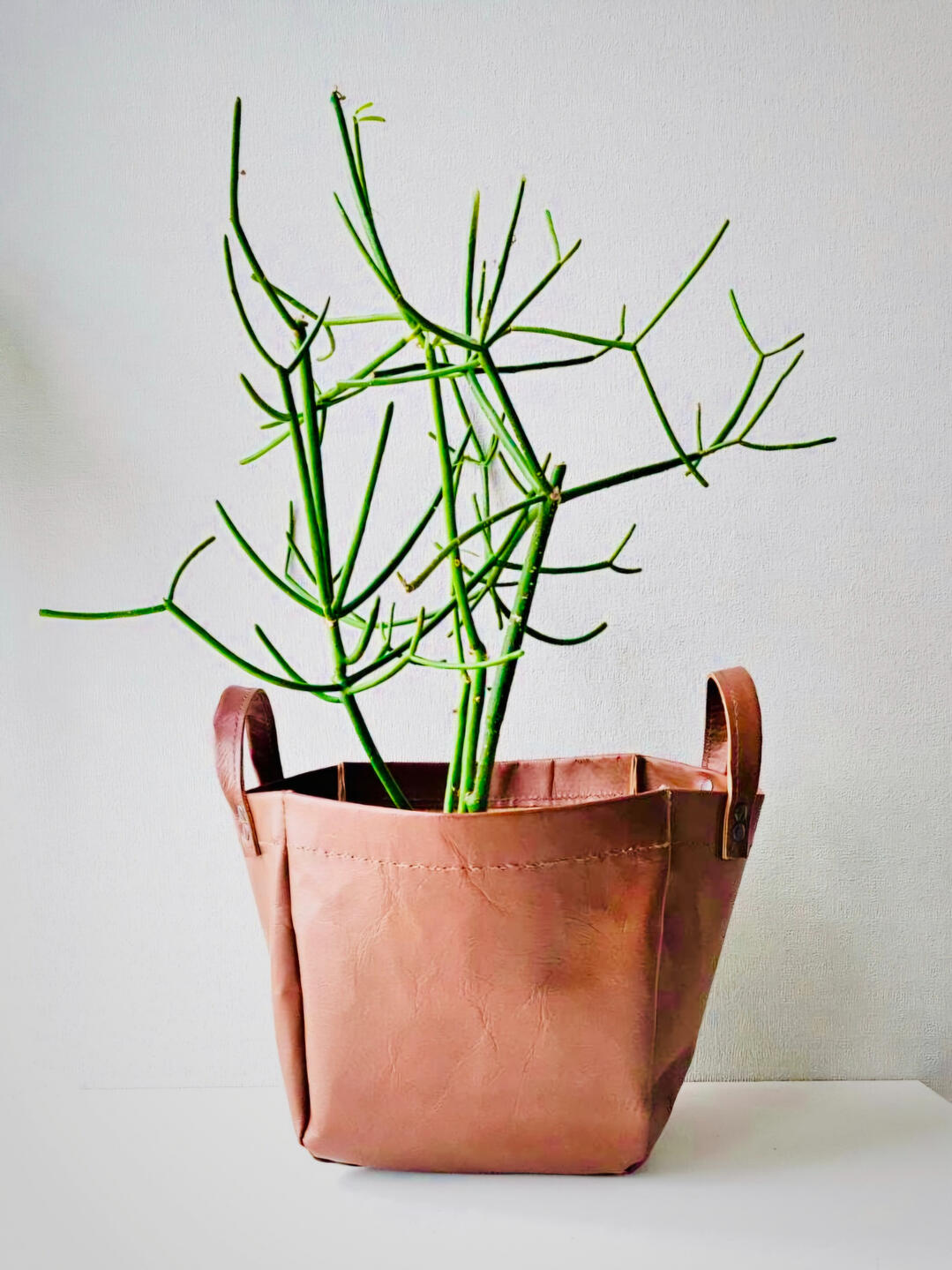 ストレージレザーバッグ